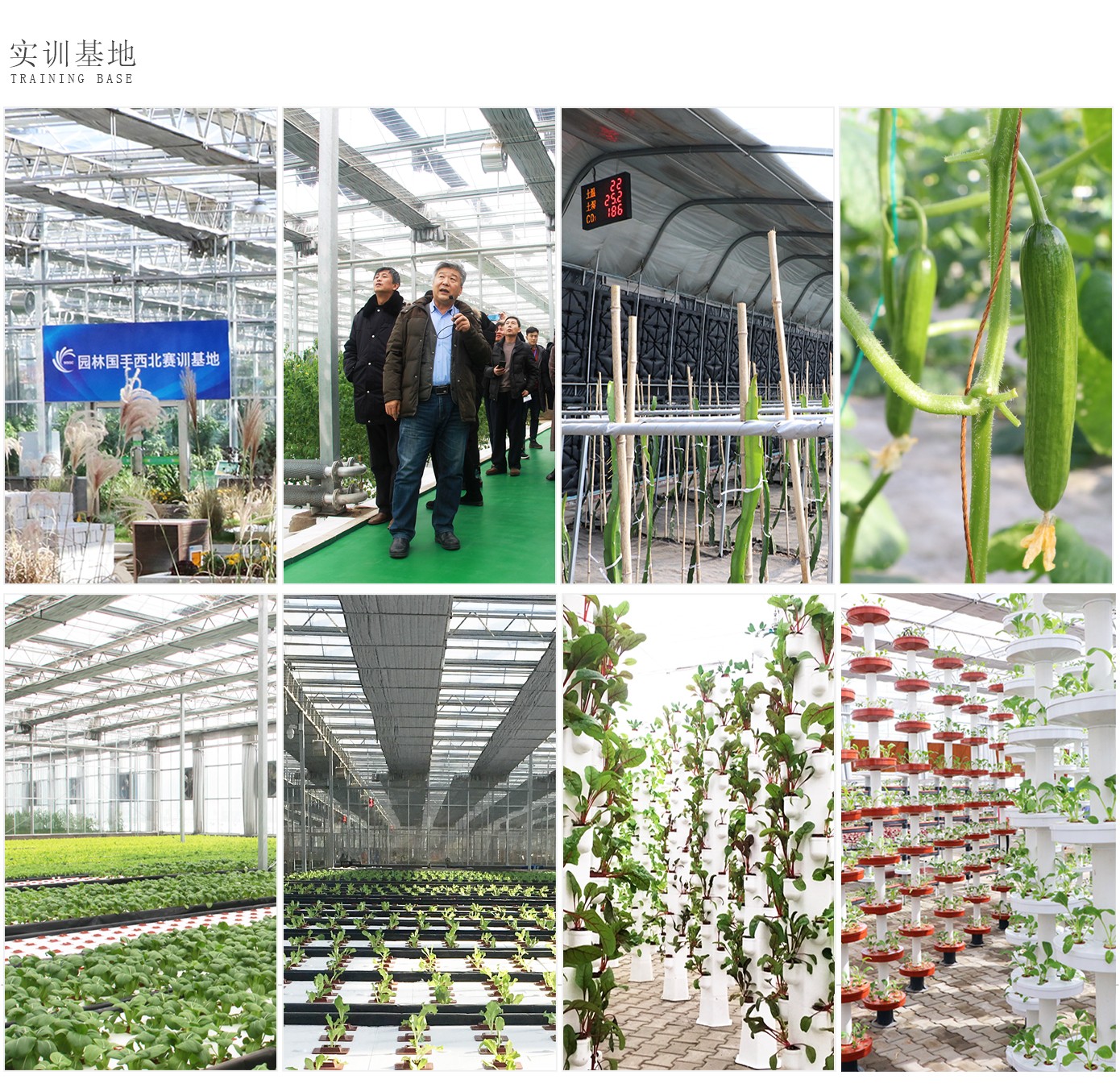 人才培養(yǎng)1920實驗2_13.jpg 人才培養(yǎng)1920實驗2_13.jpg