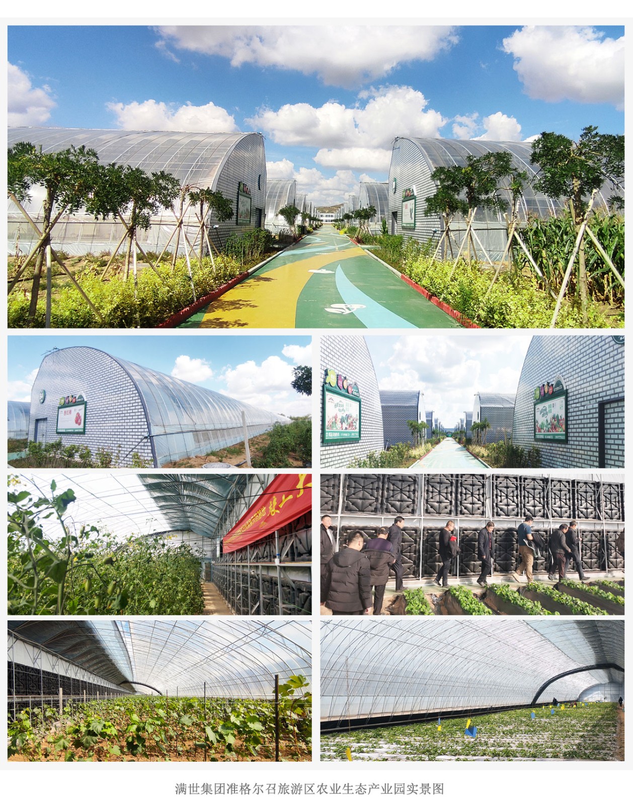 滿世集團(tuán)準(zhǔn)格爾召旅游區(qū)農(nóng)業(yè)生態(tài)產(chǎn)業(yè)園_07.jpg