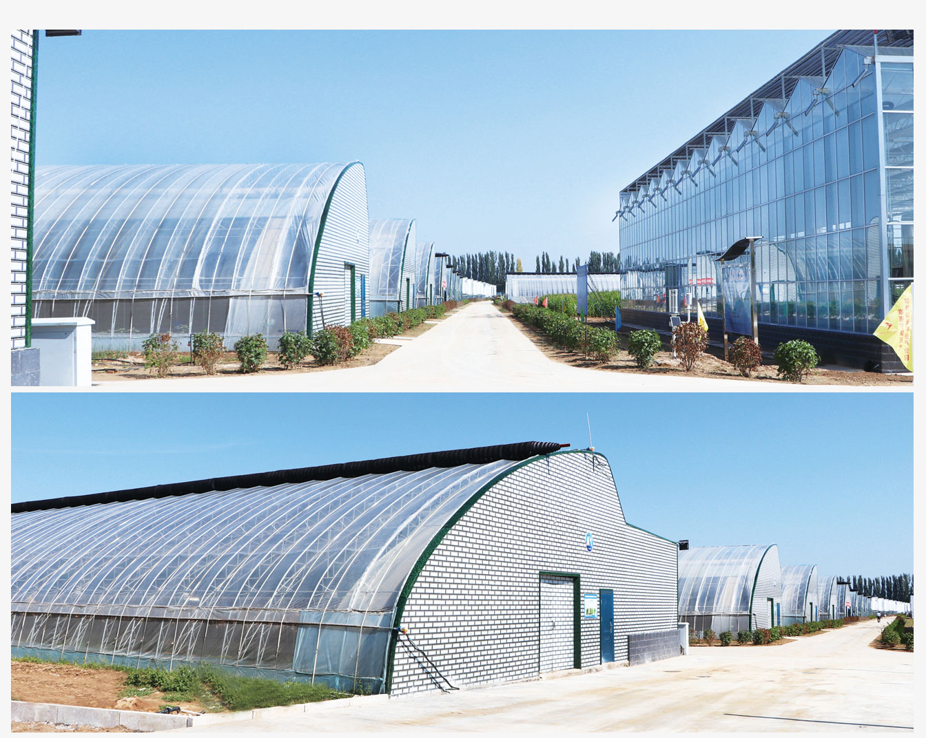 準格爾旗現(xiàn)代智慧設(shè)施農(nóng)業(yè)產(chǎn)業(yè)園_07.jpg