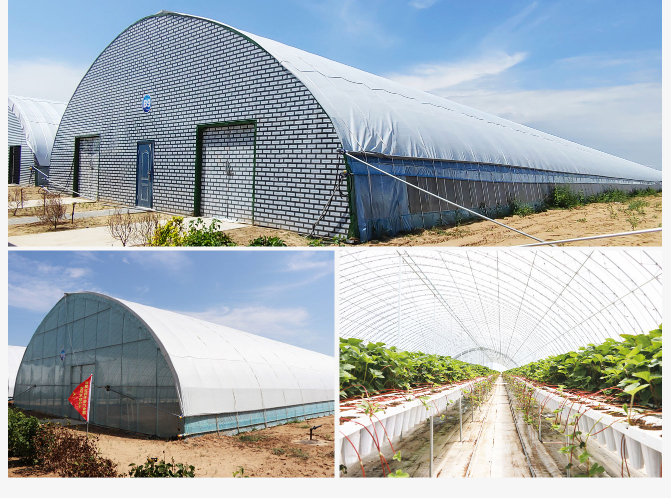 準格爾旗現(xiàn)代智慧設(shè)施農(nóng)業(yè)產(chǎn)業(yè)園_08.jpg
