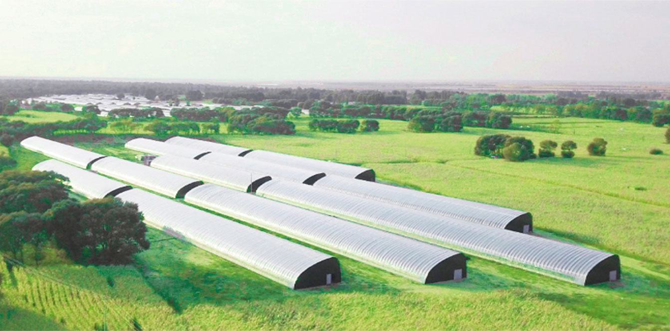 鄂爾多斯市準格爾旗蓿亥圖高標準日光溫室示范基地_03.jpg 鄂爾多斯市準格爾旗蓿亥圖高標準日光溫室示范基地_03.jpg