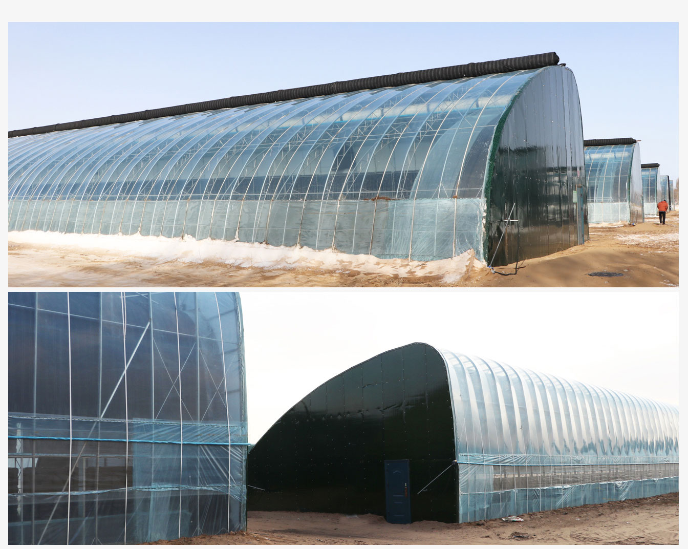 鄂爾多斯市準格爾旗蓿亥圖高標準日光溫室示范基地_07.jpg 鄂爾多斯市準格爾旗蓿亥圖高標準日光溫室示范基地_07.jpg