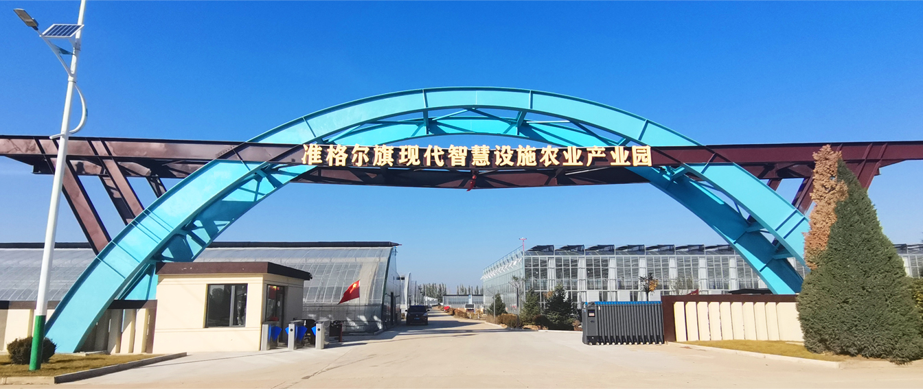 準格爾旗現(xiàn)代智慧設(shè)施農(nóng)業(yè)產(chǎn)業(yè)園_03.jpg