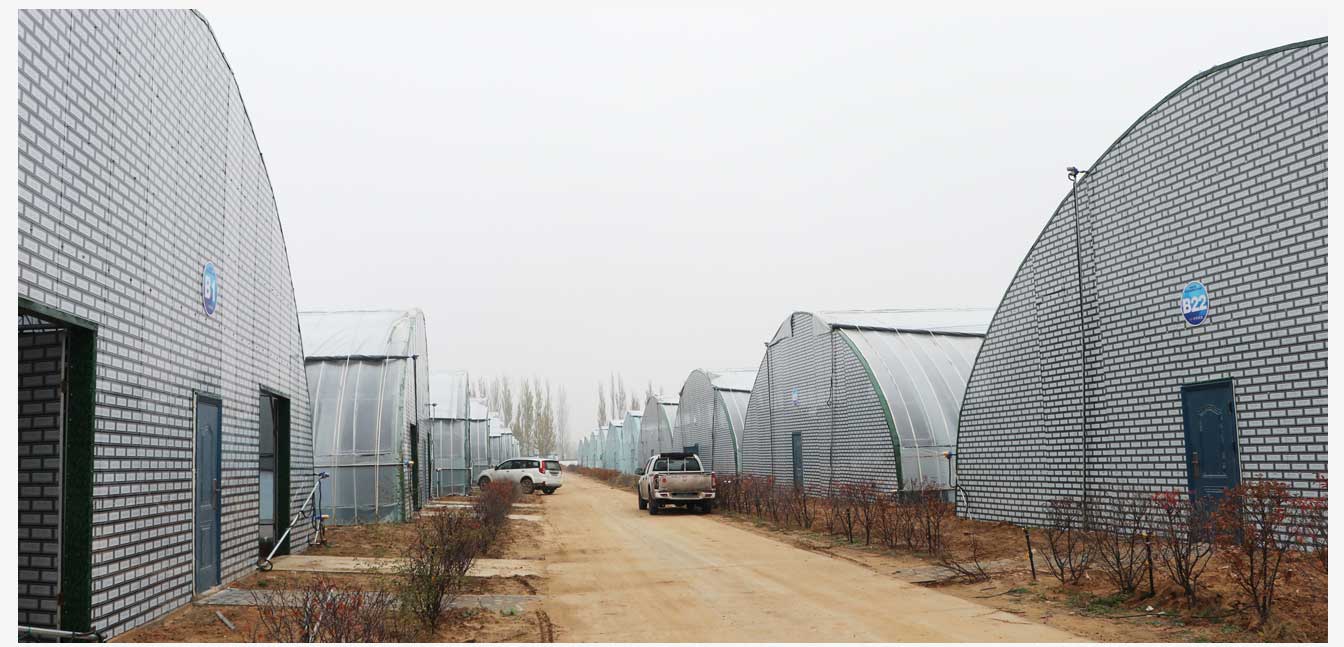 準(zhǔn)格爾旗現(xiàn)代智慧設(shè)施農(nóng)業(yè)產(chǎn)業(yè)園(網(wǎng)頁)_22.jpg 準(zhǔn)格爾旗現(xiàn)代智慧設(shè)施農(nóng)業(yè)產(chǎn)業(yè)園(網(wǎng)頁)_22.jpg