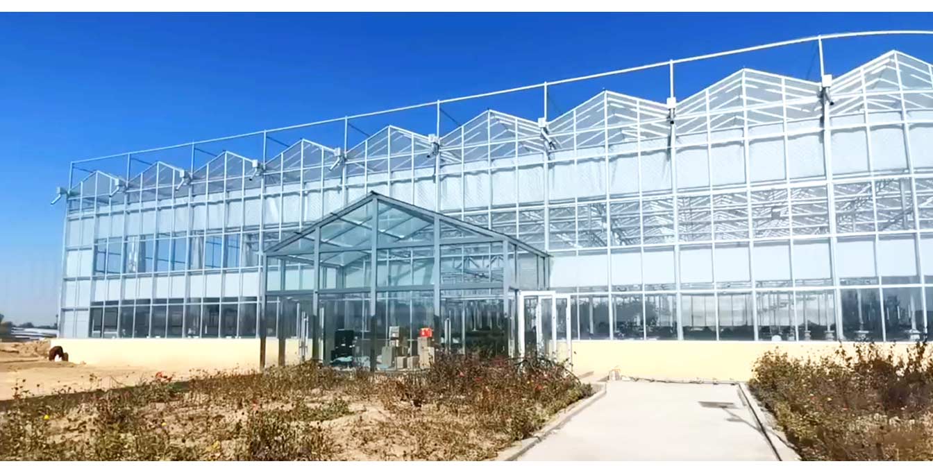 大路鎮(zhèn)苗家灘社區(qū)項(xiàng)目-智能溫室、日光溫室建設(shè)項(xiàng)目_13.jpg