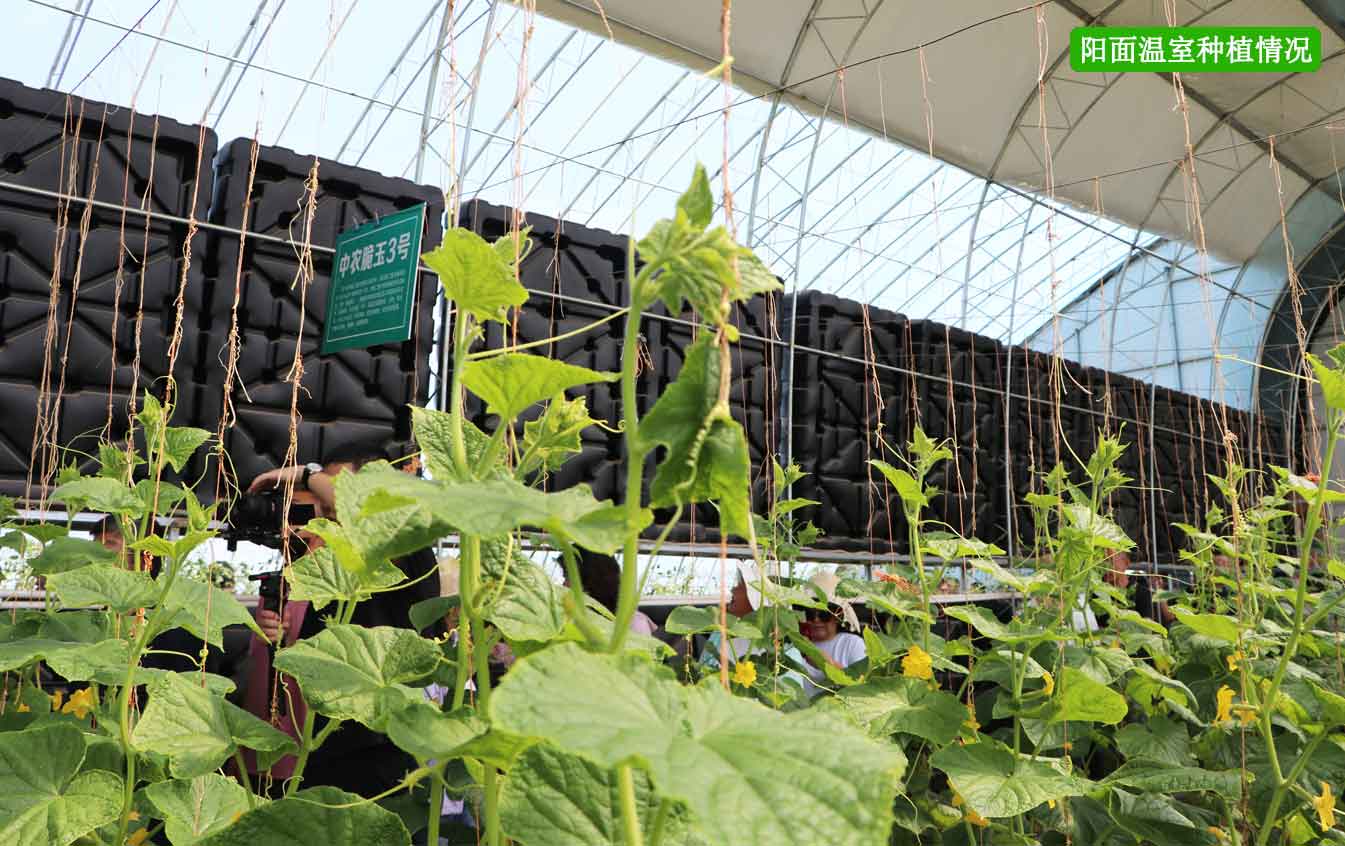 2、四季溫室網(wǎng)頁(yè)_12.jpg
