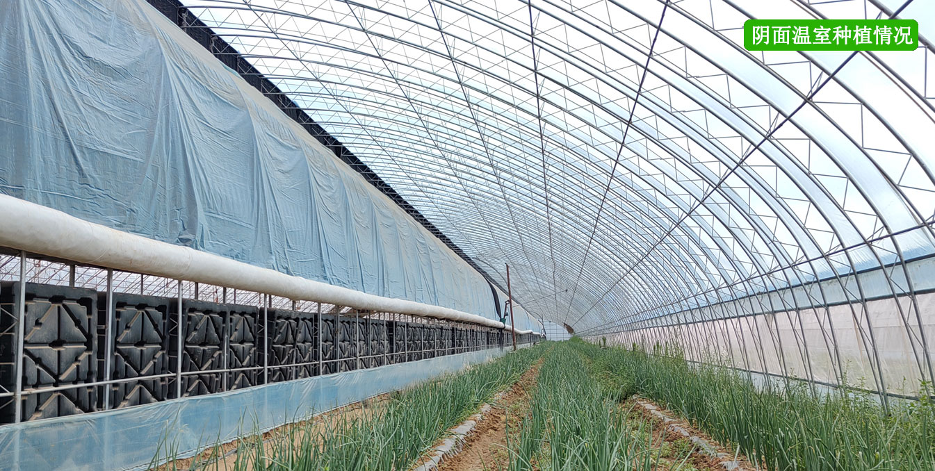 2、四季溫室網(wǎng)頁(yè)_13.jpg